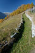 20091030_112037 Sentiero presso l'Alpe Cermine.jpg